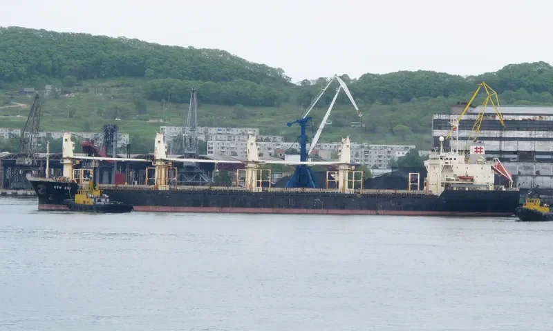 CAHAYA MUSTIKA LAUT 1 Bulk Carrier IMO 9128805 photo 3