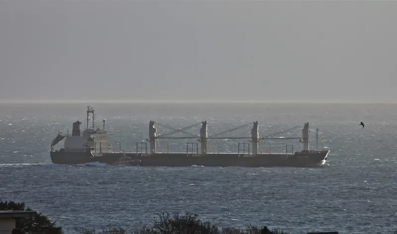 CAHAYA MUSTIKA LAUT 1 Bulk Carrier IMO 9128805 photo 7