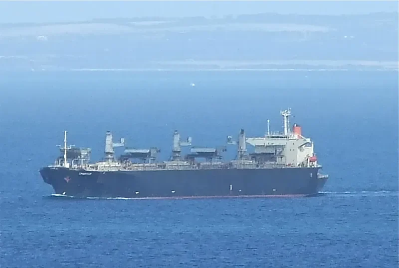 CHIPHOP Bulk Carrier IMO 9128829 photo 3