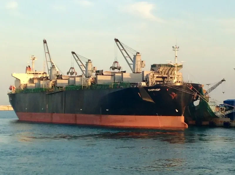 CHIPHOP Bulk Carrier IMO 9128829 photo 8