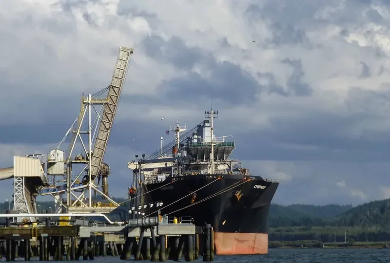 CHIPHOP Bulk Carrier IMO 9128829 photo 9