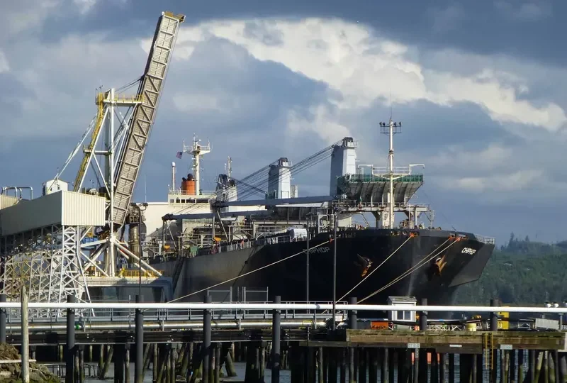 CHIPHOP Bulk Carrier IMO 9128829 photo 10