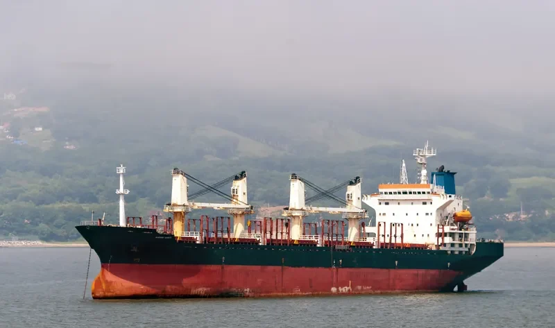 HARMONY SOURCE Bulk Carrier IMO 9129366