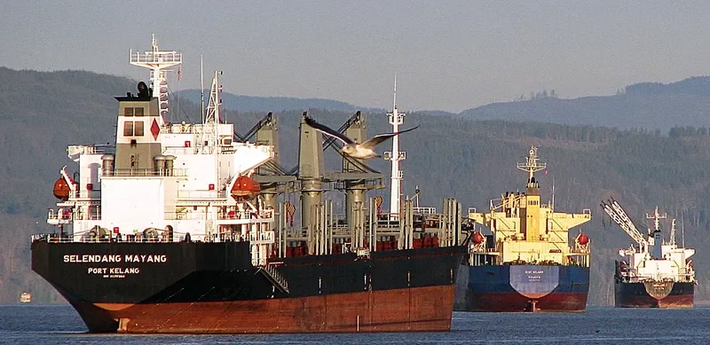 HARMONY SOURCE Bulk Carrier IMO 9129366 photo 3