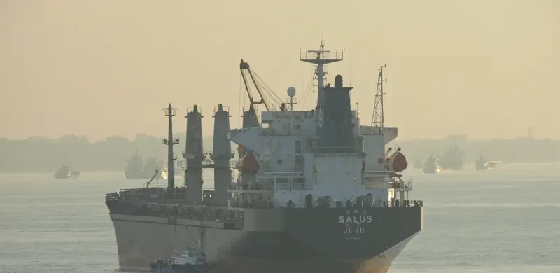 NEW WAY 1 Bulk Carrier IMO 9129378 photo 3