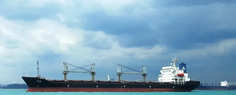 NEW WAY 1 Bulk Carrier IMO 9129378 photo 5
