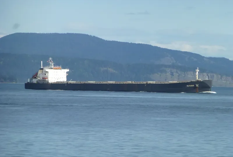 GURASIS Bulk Carrier IMO 9129574 photo 2