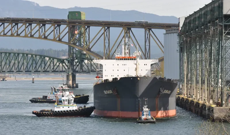 GURASIS Bulk Carrier IMO 9129574 photo 4