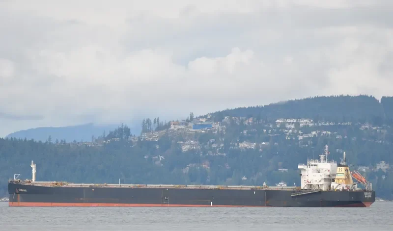 GURASIS Bulk Carrier IMO 9129574 photo 5