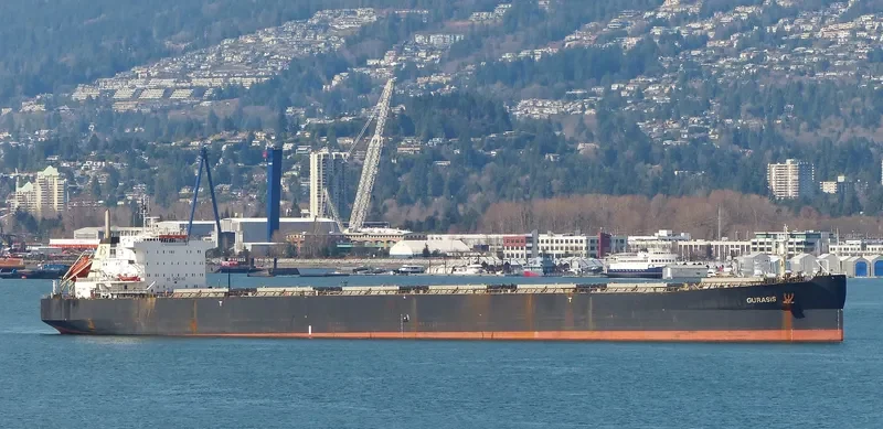 GURASIS Bulk Carrier IMO 9129574 photo 7