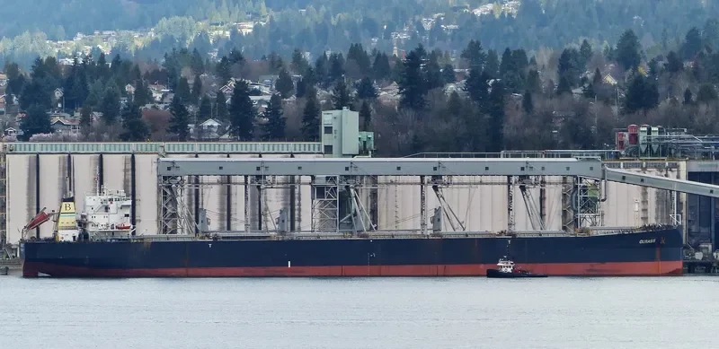 GURASIS Bulk Carrier IMO 9129574 photo 8
