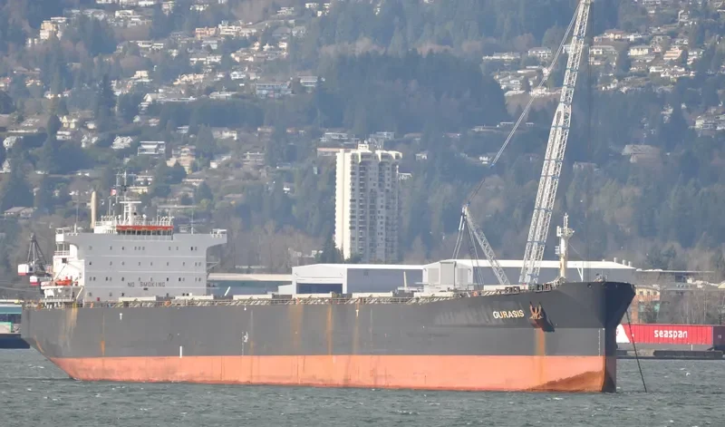 GURASIS Bulk Carrier IMO 9129574 photo 10