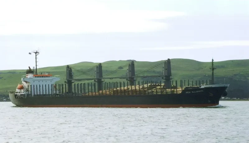 ORIENTAL GRACE Bulk Carrier IMO 9129603 photo 3