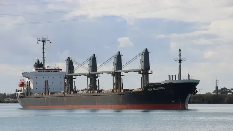 ORIENTAL GRACE Bulk Carrier IMO 9129603 photo 4