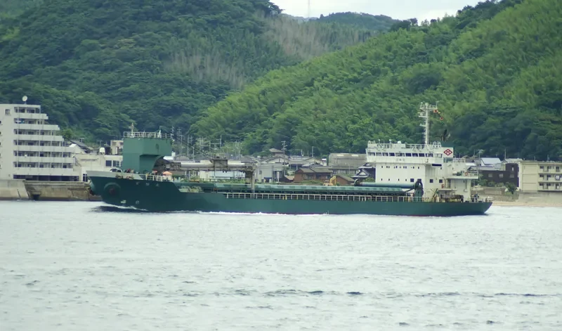 MIYAHATA MARU Bulk Carrier IMO 9129665 photo 3