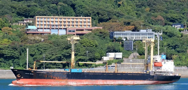 ASIAN BEAM General Cargo IMO 9129689 photo 5