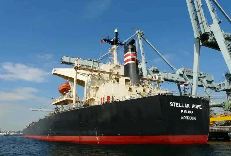 LARCH Bulk Carrier IMO 9130602 photo 3