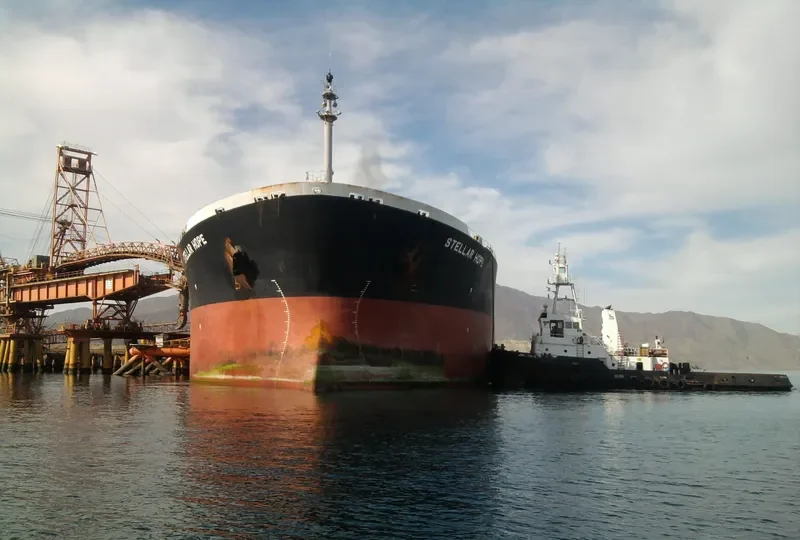 LARCH Bulk Carrier IMO 9130602 photo 9