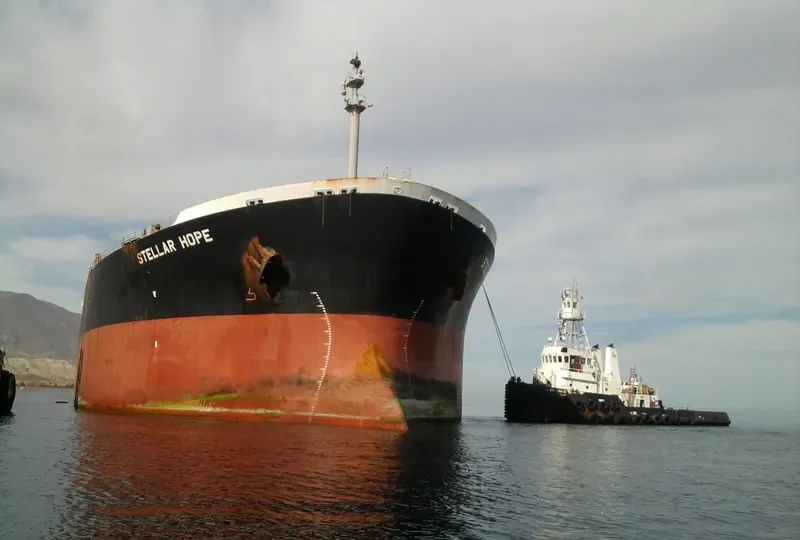 LARCH Bulk Carrier IMO 9130602 photo 10