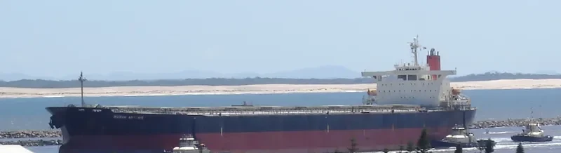 IN ARTE Bulk Carrier IMO 9130614