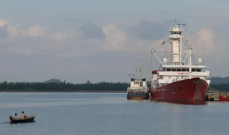 DONIENE General Cargo IMO 9130779