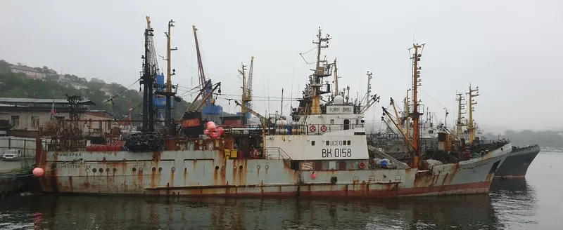 YURIY OREL General Cargo IMO 9130846 photo 2