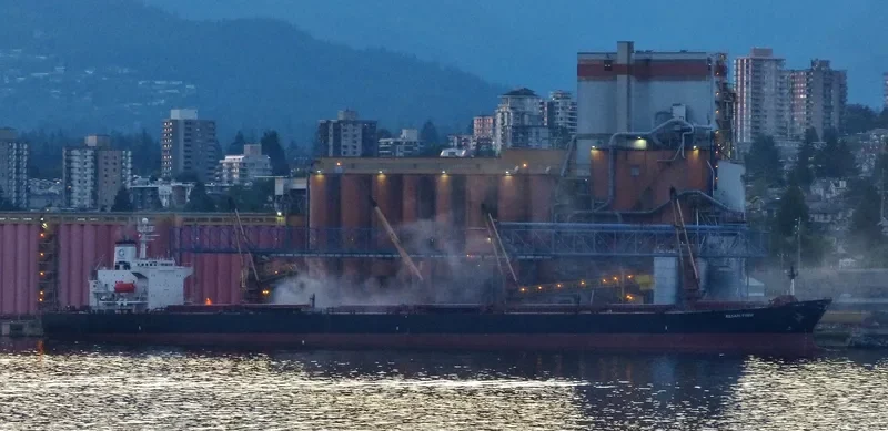MEKONG Bulk Carrier IMO 9130963