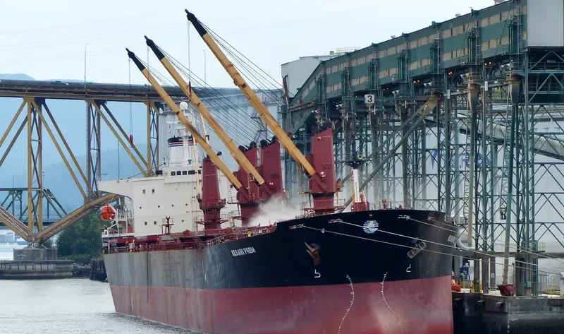 MEKONG Bulk Carrier IMO 9130963 photo 2