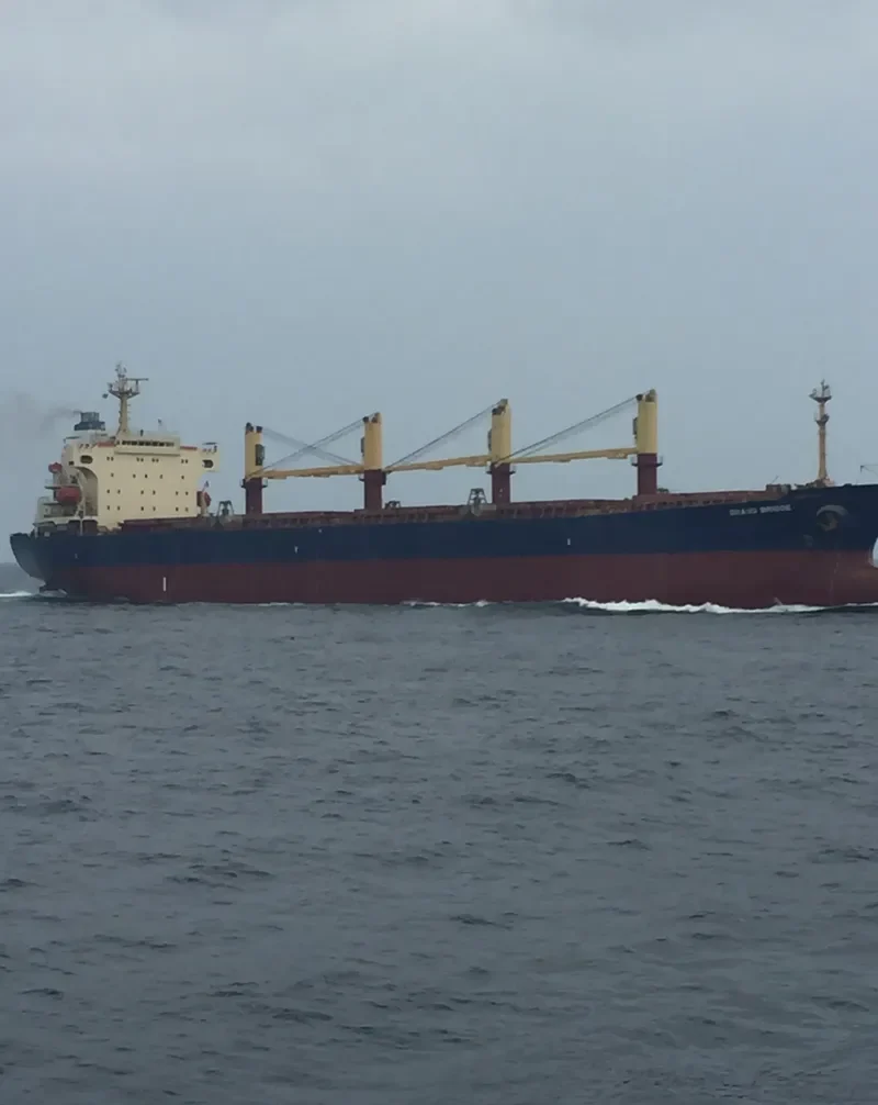 FAN SHUN Bulk Carrier IMO 9131046