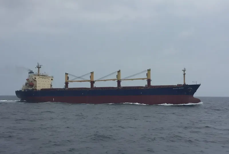 FAN SHUN Bulk Carrier IMO 9131046 photo 2