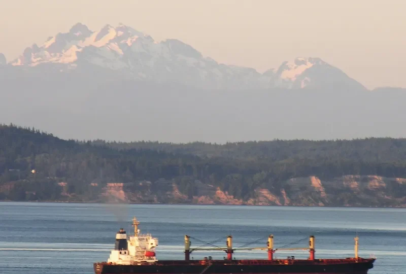 FAN SHUN Bulk Carrier IMO 9131046 photo 10