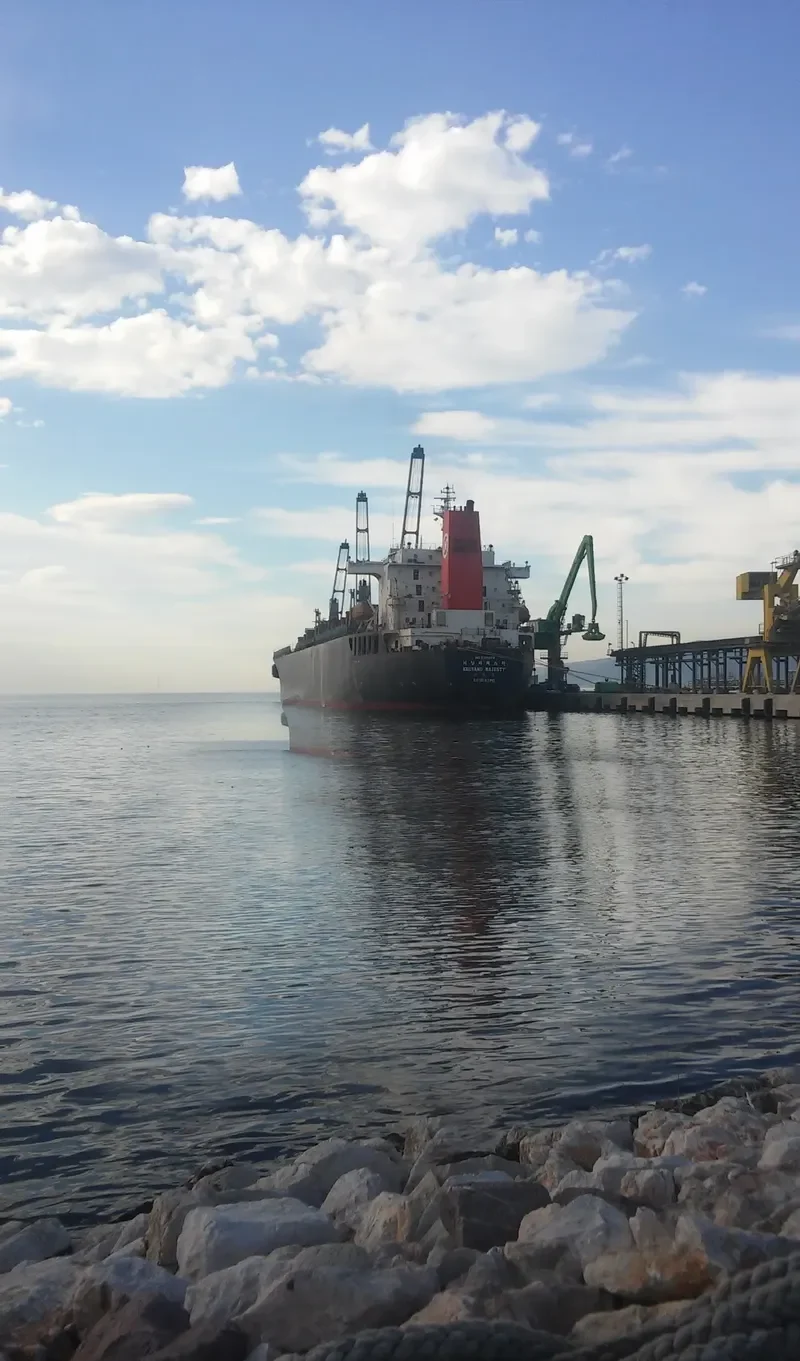GEM Bulk Carrier IMO 9131072