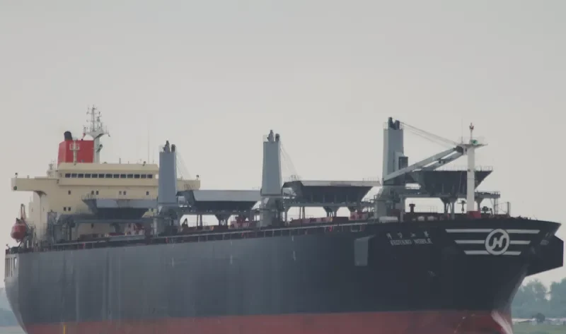 ANKE Bulk Carrier IMO 9131084 photo 8