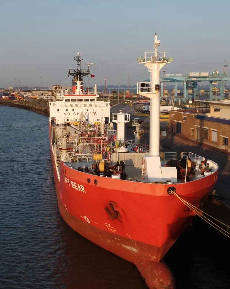 BRIGHT HONOR General Cargo IMO 9131096