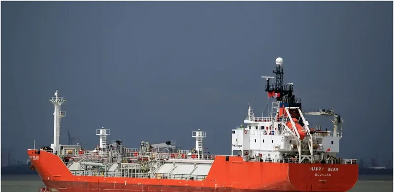 BRIGHT HONOR General Cargo IMO 9131096 photo 10