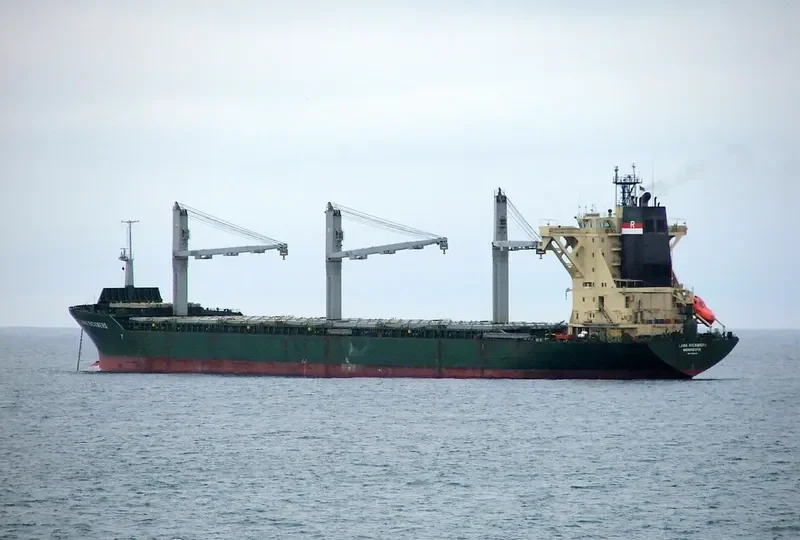 ZHONG LIANG HONG JIA General Cargo IMO 9131228 photo 4