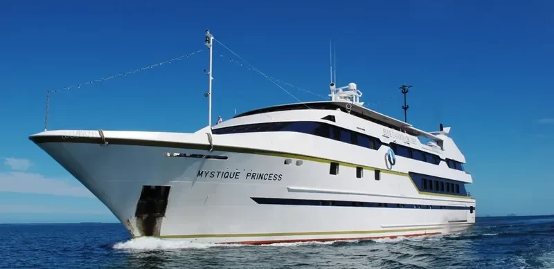 MYSTIQUE PRINCESS Passenger Ship IMO 9131395 photo 5