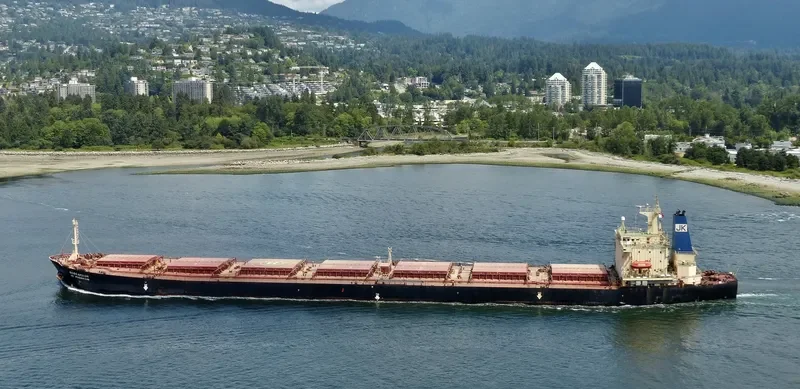 HH PIONEER Bulk Carrier IMO 9131838 photo 2