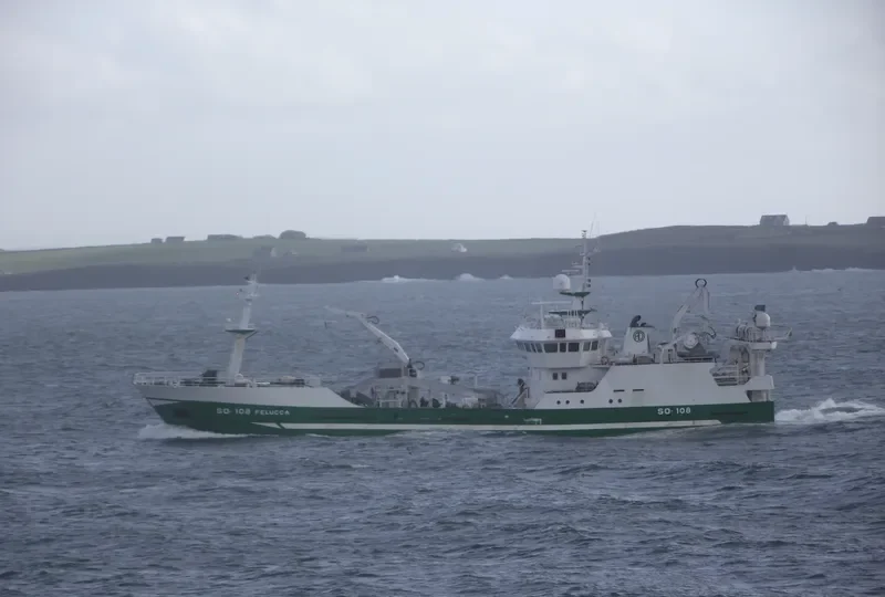 FELUCCA General Cargo IMO 9131981 photo 7