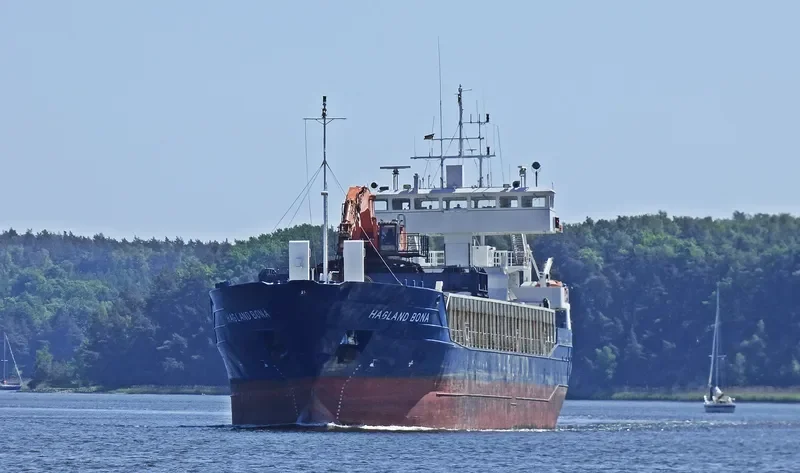 VESTLAND General Cargo IMO 9132038 photo 8
