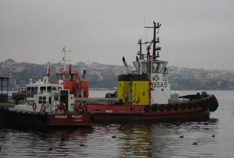 GISASG IV General Cargo IMO 9132052 photo 2
