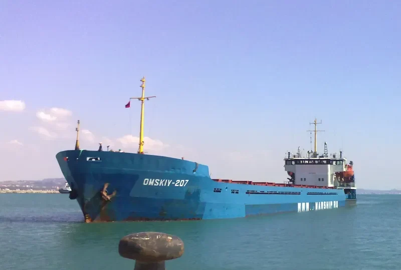 OMSKIY 207 General Cargo IMO 9132363 photo 8