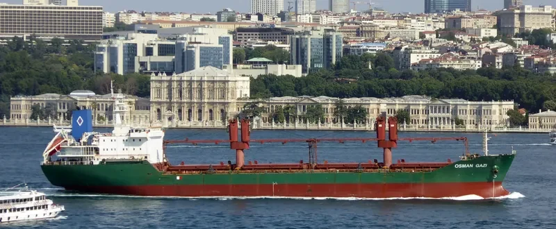 PLUTUS Bulk Carrier IMO 9132519 photo 6