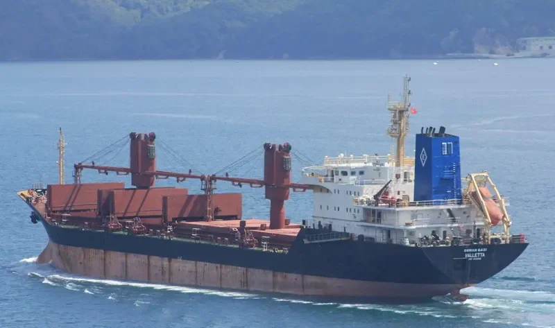 PLUTUS Bulk Carrier IMO 9132519 photo 9