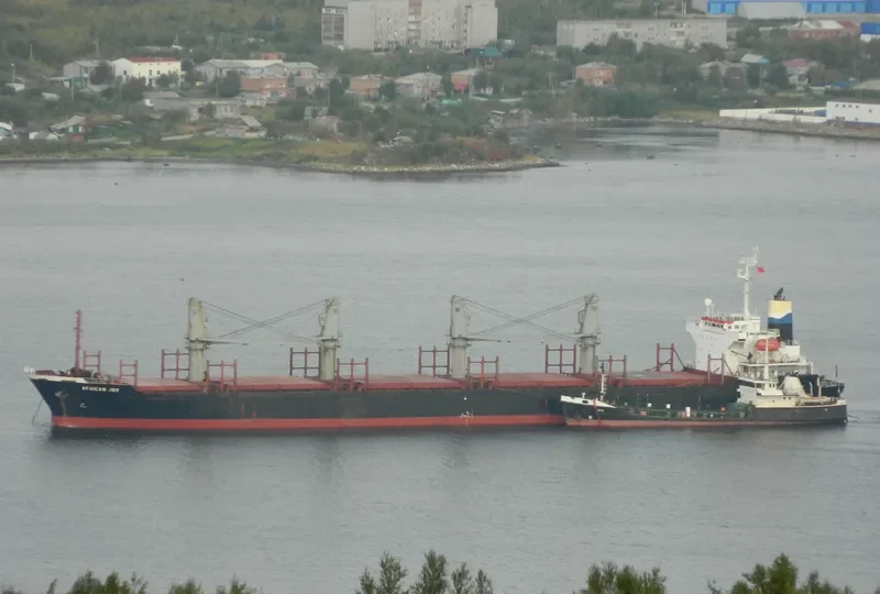 VICTORIA Bulk Carrier IMO 9132650 photo 9