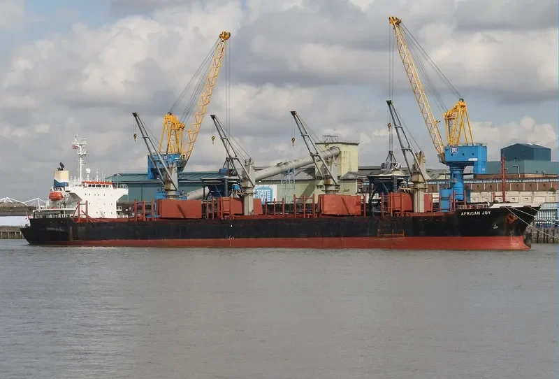 VICTORIA Bulk Carrier IMO 9132650 photo 10