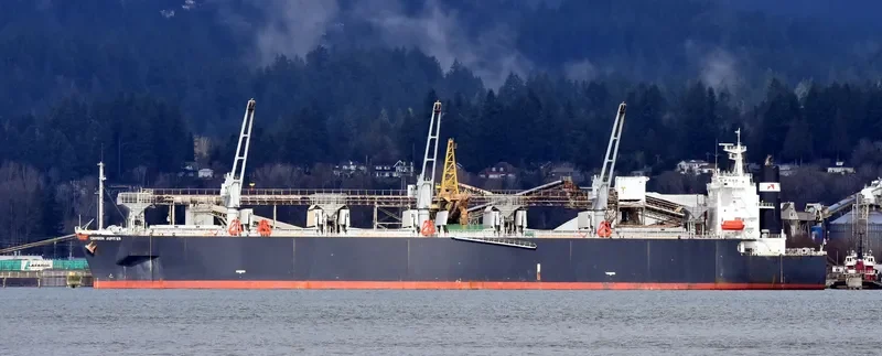 UNI HARMONY General Cargo IMO 9132947 photo 5