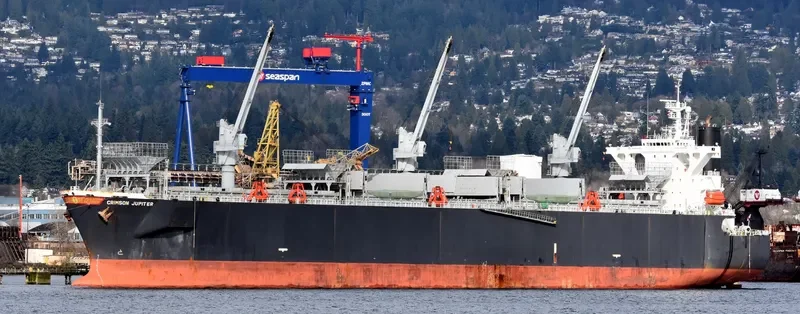 UNI HARMONY General Cargo IMO 9132947 photo 8