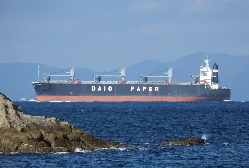 FAITHE Bulk Carrier IMO 9132959 photo 5