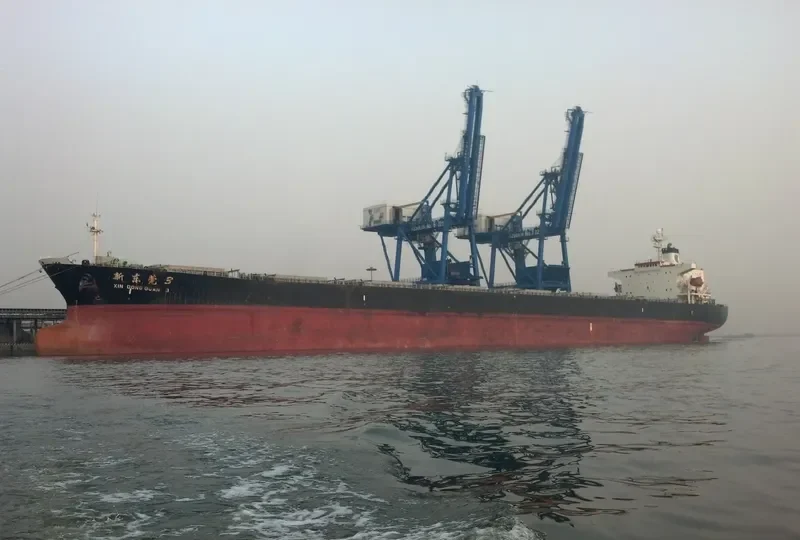 XIN DONG GUAN 3 Bulk Carrier IMO 9132961 photo 2